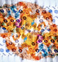 Photographic Artwork