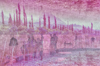 Photographic Artwork