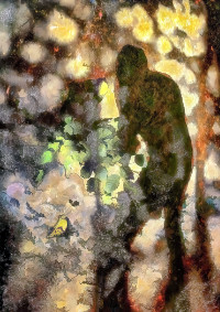 Photographic Artwork