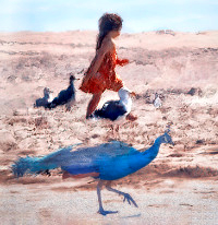 Photographic Artwork