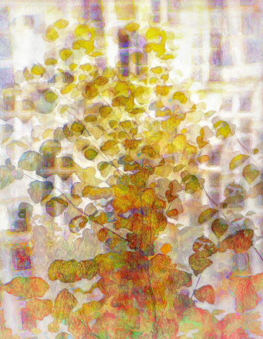 Photographic Artwork