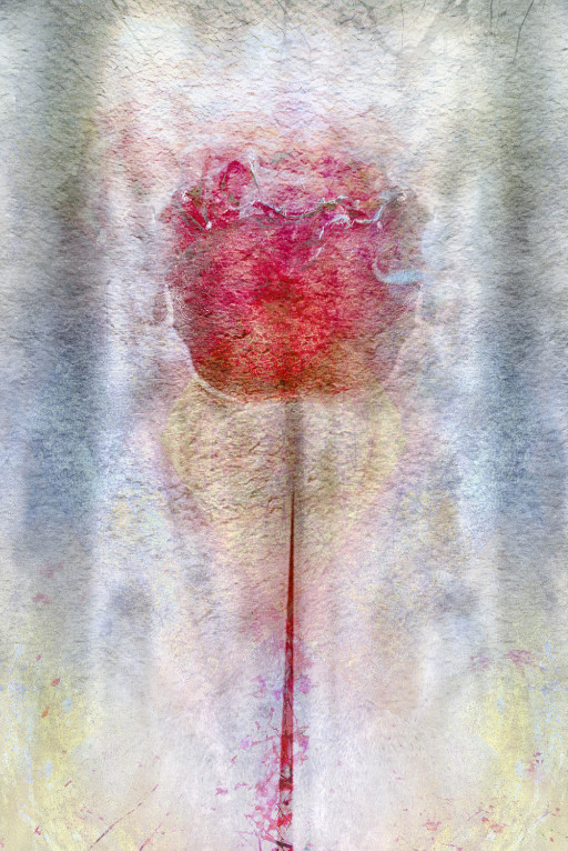 Photographic Artwork