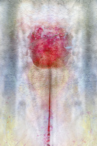 Photographic Artwork