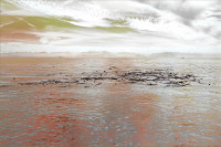 Photographic Artwork