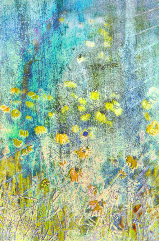 Photographic Artwork