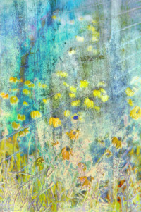 Photographic Artwork