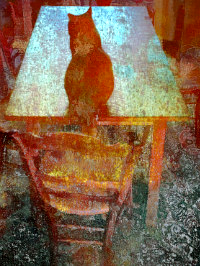 Photographic Artwork