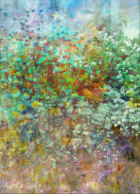 Photographic Artwork