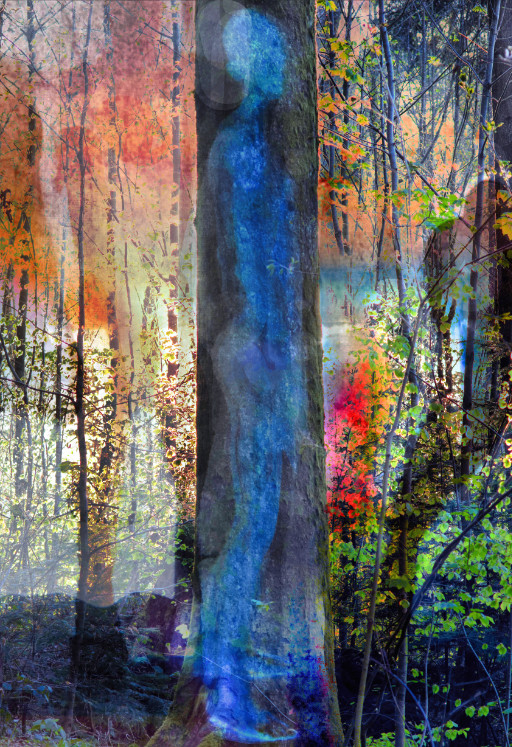 Photographic Artwork