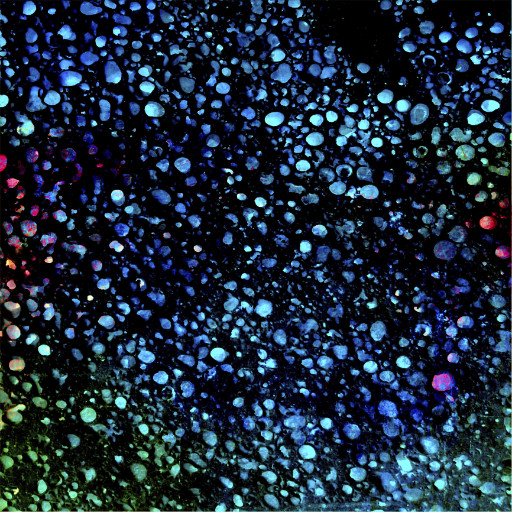 Photographic Artwork