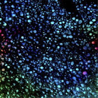 Photographic Artwork