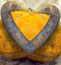 Photographic Artwork