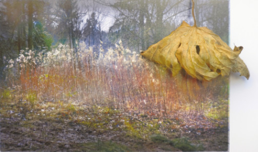 Photographic Artwork