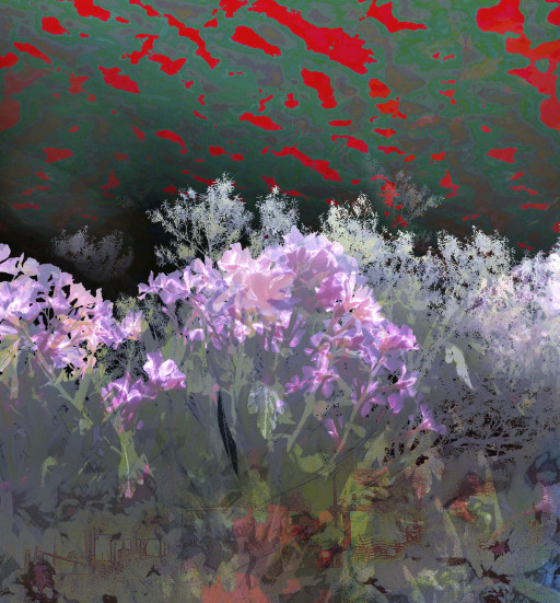 Photographic Artwork