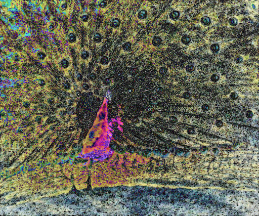 Photographic Artwork