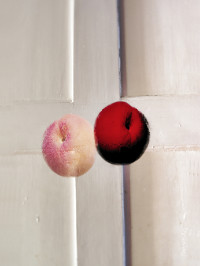 Photographic Artwork