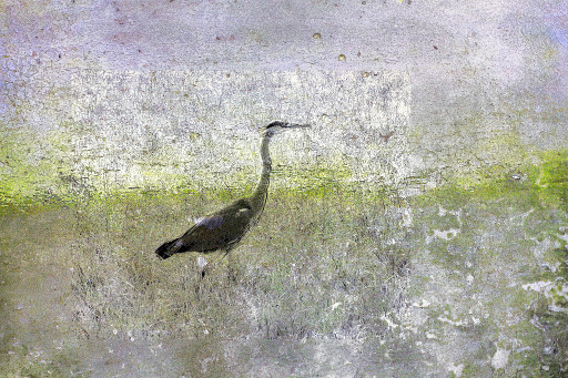 Photographic Artwork