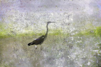 Photographic Artwork