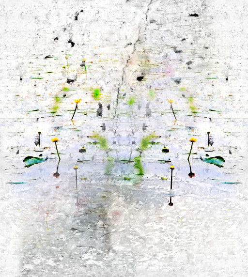 Photographic Artwork