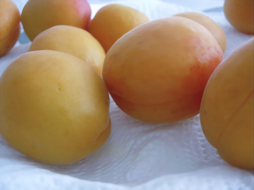 Photographic Artwork