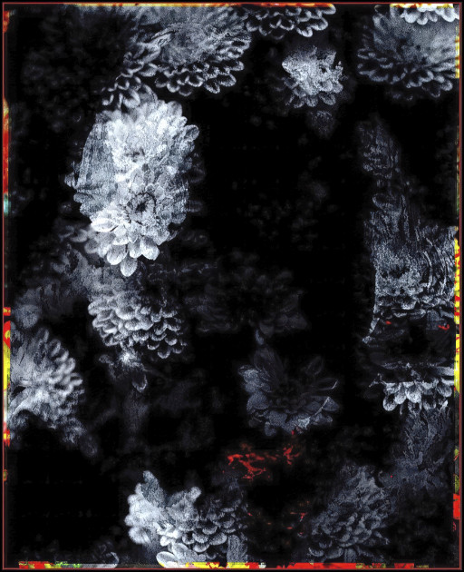 Photographic Artwork