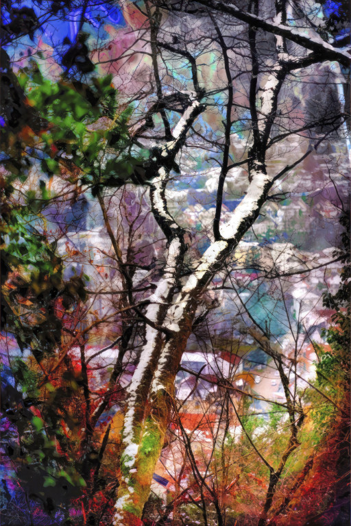 Photographic Artwork