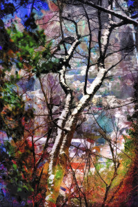 Photographic Artwork