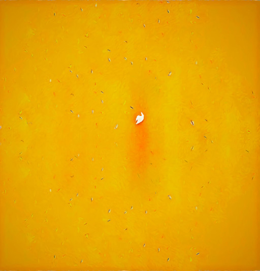 Photographic Artwork