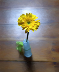 Photographic Artwork