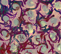 Photographic Artwork