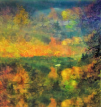 Photographic Artwork