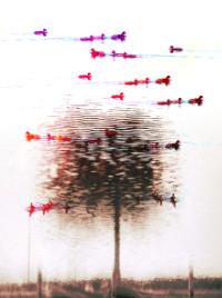 Photographic Artwork