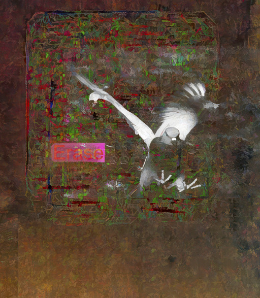 Photographic Artwork