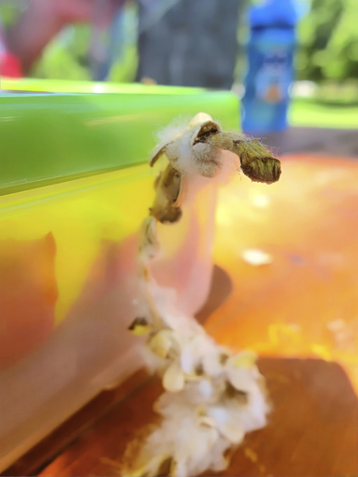 Photographic Artwork