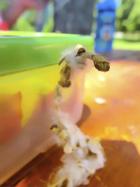 Photographic Artwork