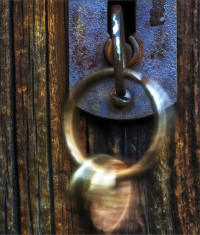 Photographic Artwork