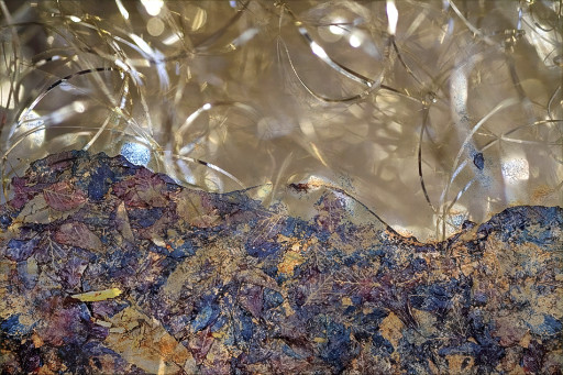 Photographic Artwork