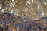 Photographic Artwork