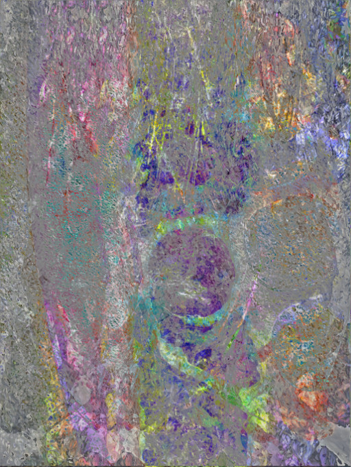 Photographic Artwork