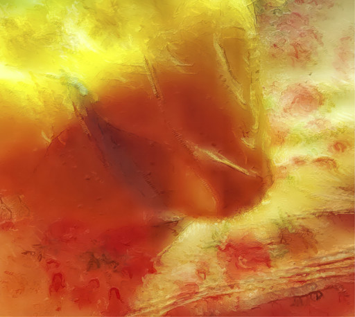 Photographic Artwork