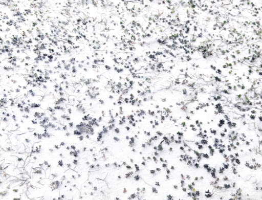 Photographic Artwork