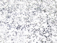 Photographic Artwork