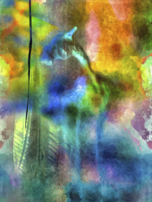 Photographic Artwork