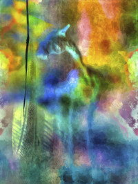 Photographic Artwork