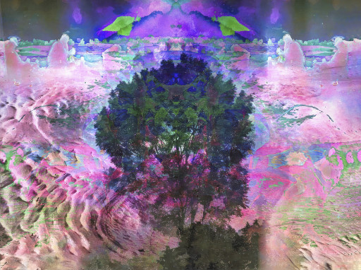 Photographic Artwork