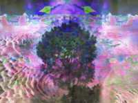 Photographic Artwork