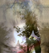 Photographic Artwork