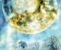 Photographic Artwork