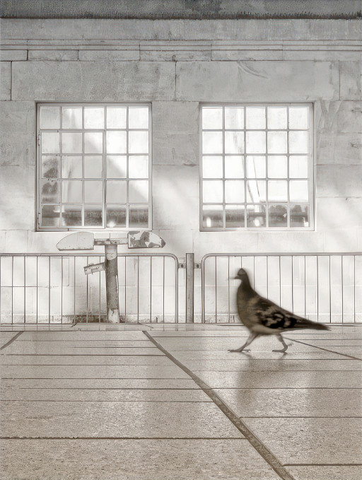 Photographic Artwork