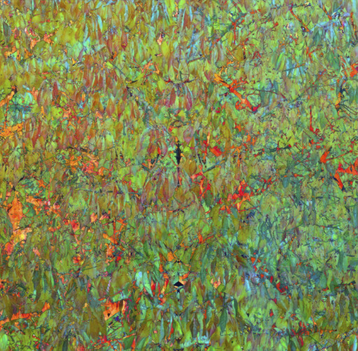 Photographic Artwork